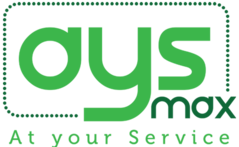 AYS logo 1