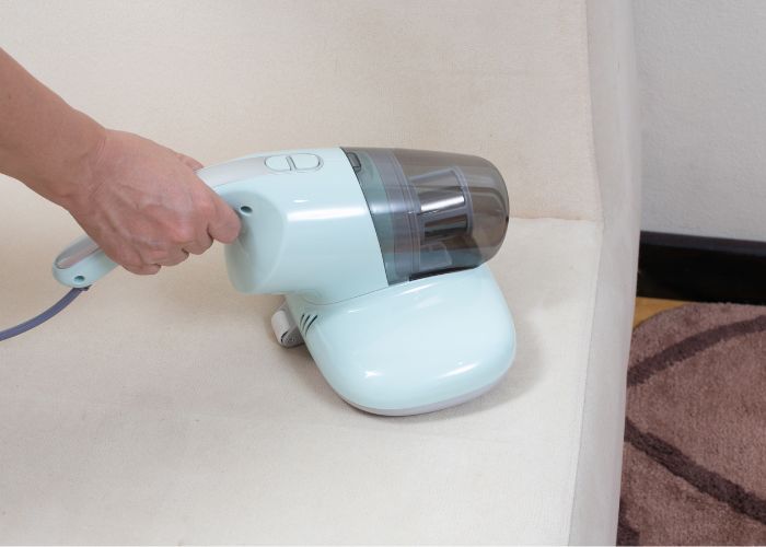 Dust mite removal cleaning